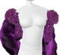 iva night coat 5