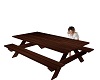 Picnic Table