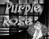 (TP)~Purple Rose~