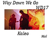WayDownWeGo Kaleo WD17