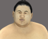 Fat Sumo Wrestler