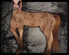 +Beachy Centaur Body v4