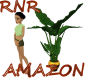 ~RnR~AMAZON PLANT 2