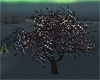 tree winterwonderland