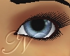 ~N~ Codex Cosplay Eyes
