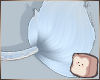 ⊹ Dream Tail V1
