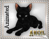 [AIB]Black Cat 2