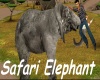 TBA-Safari Room Elephant