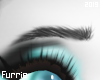f| Furry Eyebrows