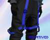 [RD] Techwear Blue Cargo