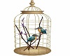 ~MD~Bird Cage