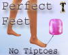 ![T] Perfect Feet 5