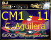CM1 - 11