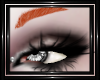 !T! Gothic | Line Brow O