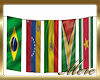 South American Flags 4-5