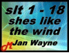 Shes like the wind