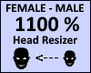Head Scaler 1100%