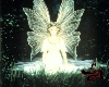 [LA]Fairy