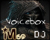 Hardcore DJ Voicebox