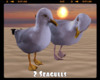 *2 Seagulls