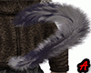 Cat Tail Ayat