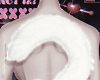 Neko tail white