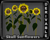 Skull Sunflowers