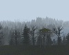 Forest I dev off a Pro's