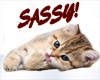 Sassy Kitten Tank Tee