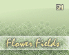 [SM]Flower Fields