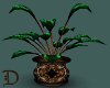 (Di) Potted Plant1