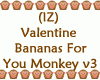 Bananas For You Monkey 3