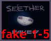 seether fake it box 1