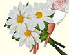 Daisy Spring Bouquet