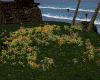 Animated Flowers