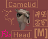 Camelid Head [M]