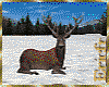 [Efr] Deer Laying