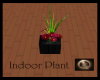 [xTx] Indoor Plant