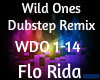 Wild Ones Dubstep Remix