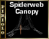 Spiderweb Canopy