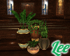 CountryLove~PlantsV1