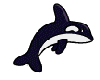 AnimatedSwmmnKillerWhale