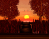 sunset  fall