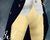 Admiral: Breeches