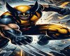 Wolverine