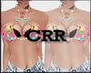 CRR ∞ [Cloth bra P] 