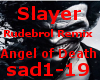 Slayer Angel of Death
