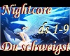 Nightcore-Du schweigst
