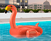 {W} Flamingo Float