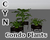 Condo Plants